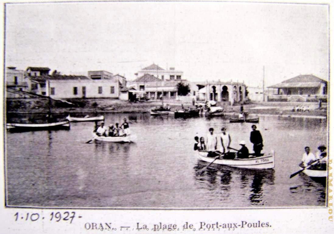 Port aux poules (2).jpg